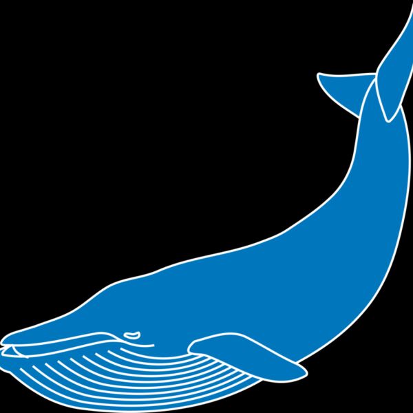 Blue whale Thumbnail