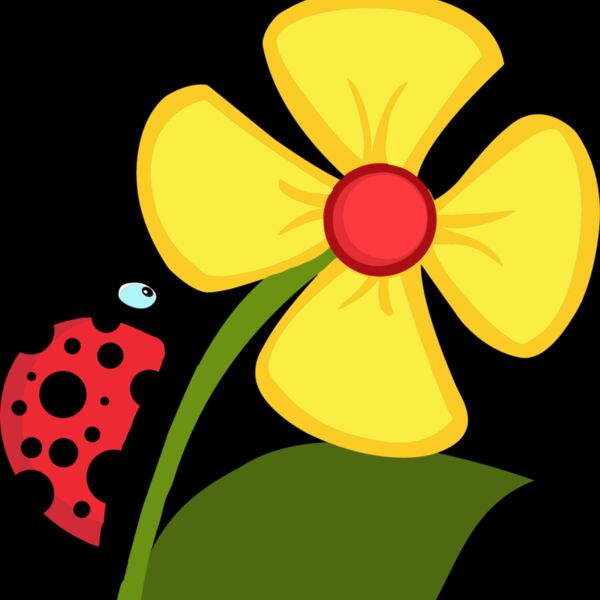 Ladybug on flower Thumbnail