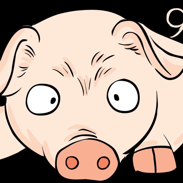 Pig lying down Thumbnail