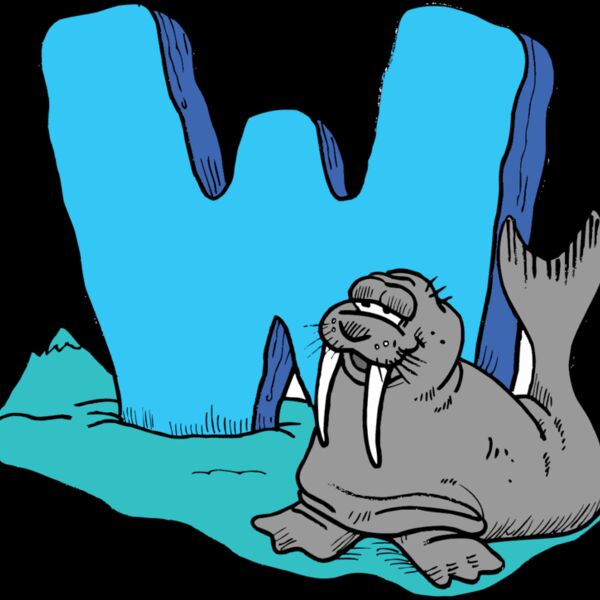 W is for Walrus Thumbnail