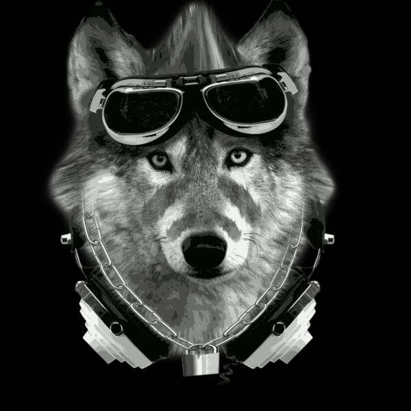 new wolf with white back Thumbnail