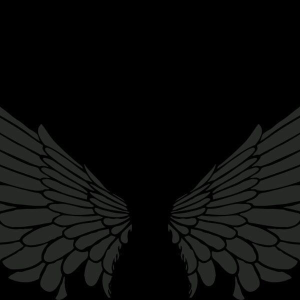 Black wings Thumbnail