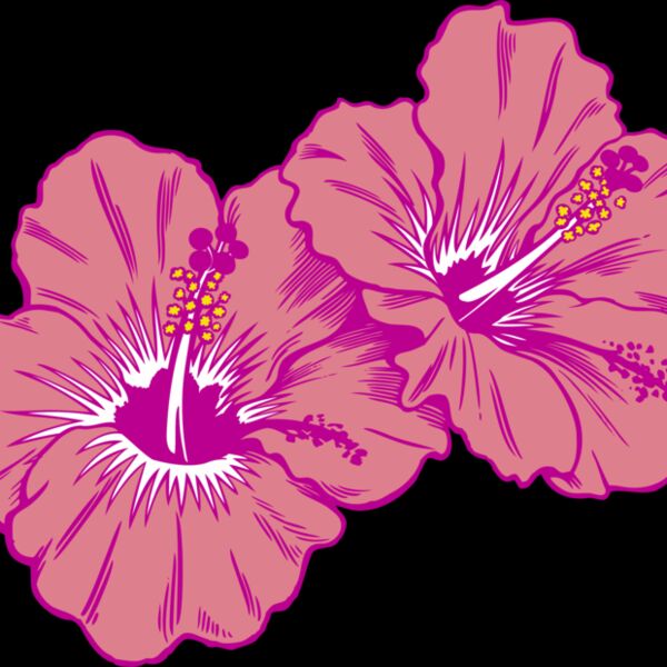 Hibiscus Tropical Thumbnail