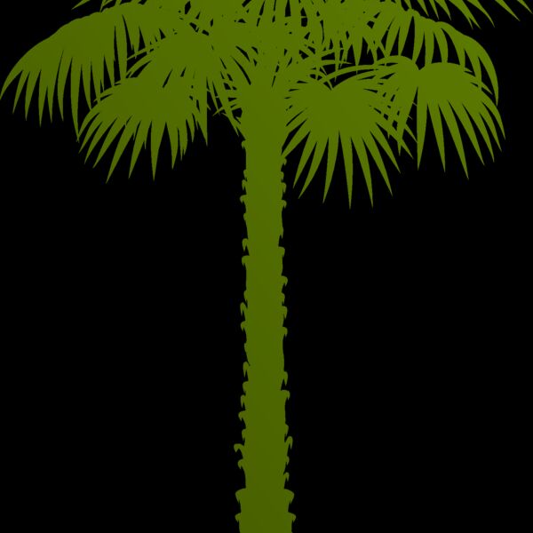 Palm tree 1 Thumbnail