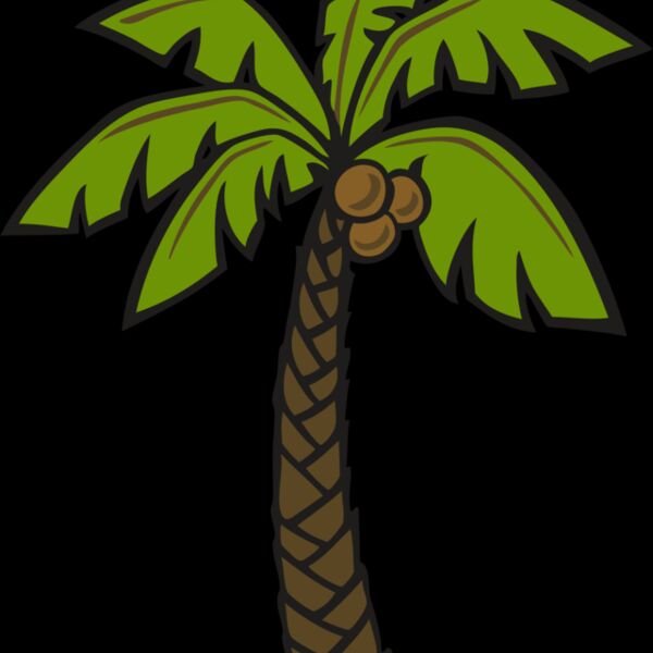 Palm Coconut Tree Thumbnail