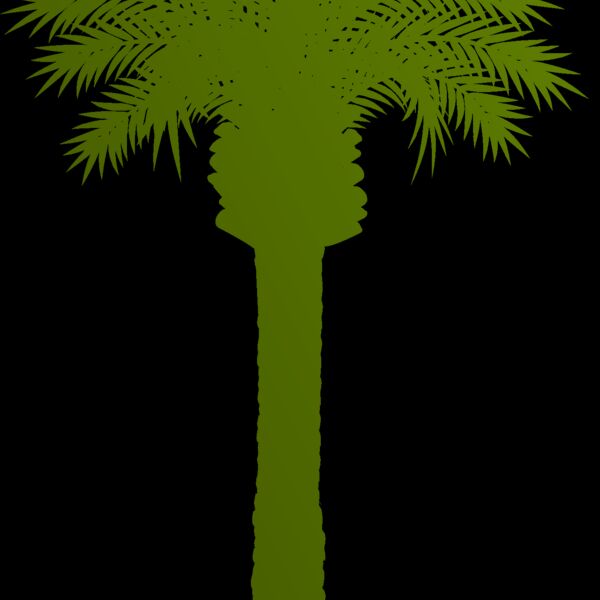 Palm tree 3 Thumbnail