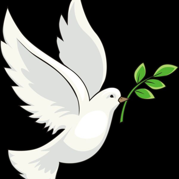 Peace dove olive branch Thumbnail
