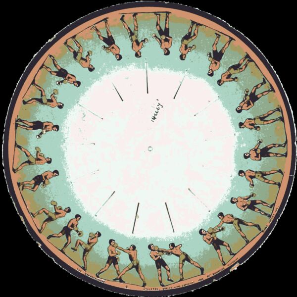 Design Zoopraxiscope Boxing Thumbnail