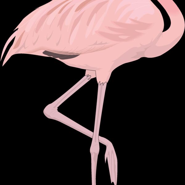 Pink flamingo Thumbnail