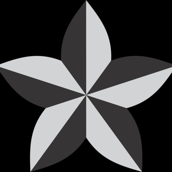 Pinwheel Star3 Thumbnail