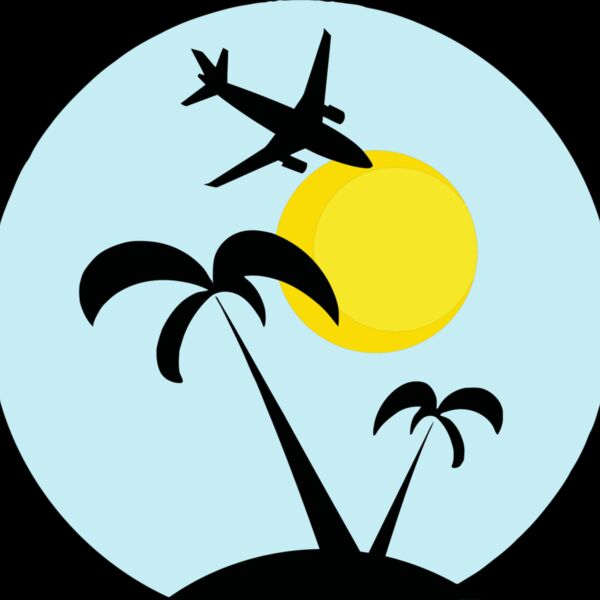 Holiday image plane blue sky Thumbnail