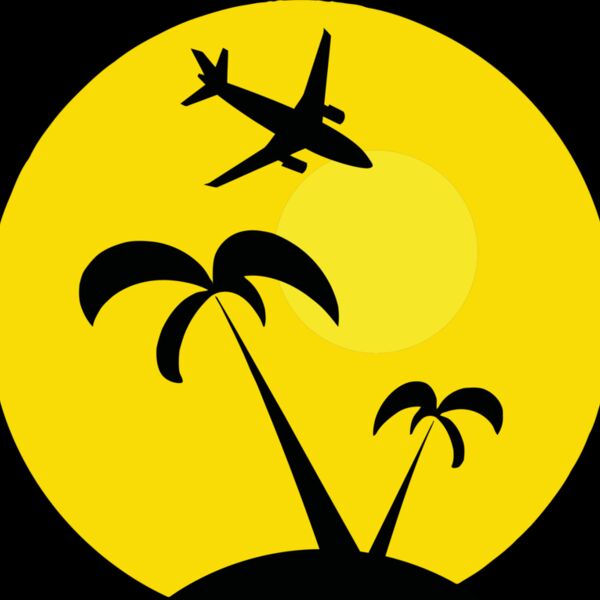 Holiday image plane sunset Thumbnail