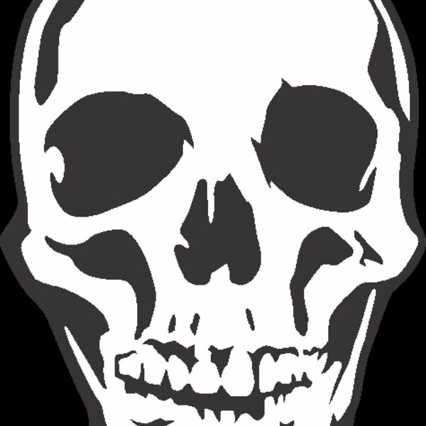 Skull Thumbnail