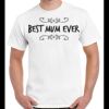 Gildan Adult Cotton Tee  Thumbnail